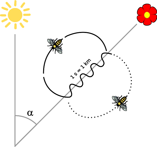 Datei:Bee dance.svg