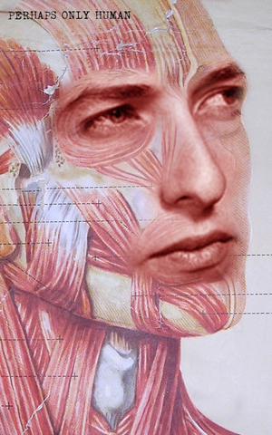 Joblin-Dylan.png