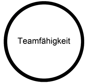 Teamfaehigkeit Koennen Berufsorientierungs-Kompetenzraster MOOCit.png
